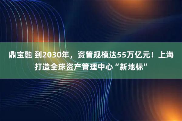鼎宝融 到2030年，资管规模达55万亿元！上海打造全球资产管理中心“新地标”