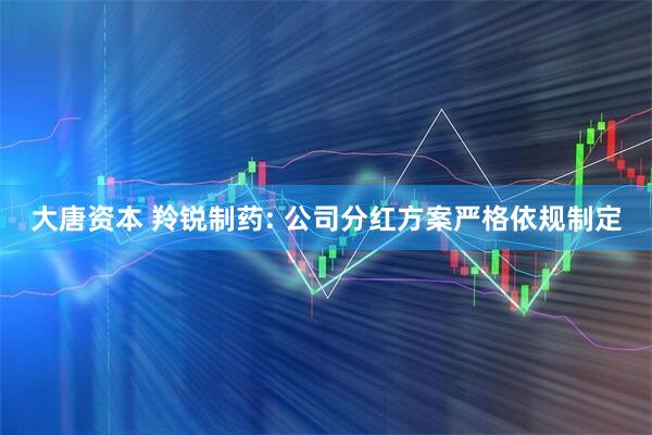 大唐资本 羚锐制药: 公司分红方案严格依规制定