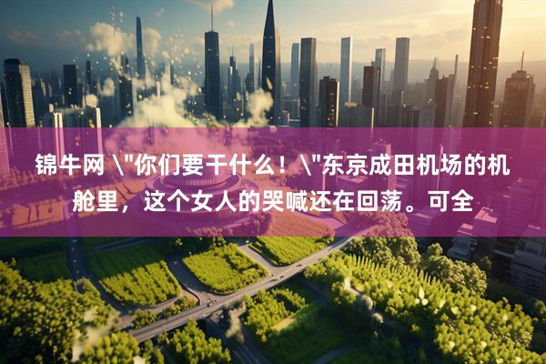 锦牛网 ＂你们要干什么！＂东京成田机场的机舱里，这个女人的哭喊还在回荡。可全